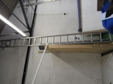 19 Stave Roof Ladder
