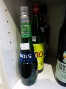 * A bottle of Jinro Soju 24, A bottle of Dolin Vermouth (Dry) Blanc, a bottle of Bols Creme de