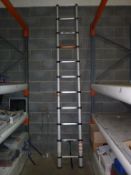 * Batavia 11 Rung Telescopic Ladder