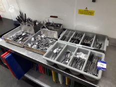 Large selection of stainless steel cutlery