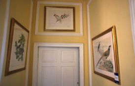 * 3 x Framed/Glazed Bird Themed Prints to wall. This lot is located in the Reception Area.