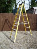 * 9 Rung Fibre Glass Step Ladder. This lot is located in the Container.