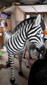 Fibreglass model zebra