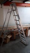 10 Tread aluminium ladder