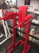 Nytram Sport Dip and Hip Bars