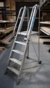 Mobile Warehouse Ladder