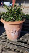 Large Clay Flower Pot