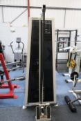 Pulsestar Fitness Low Pulley