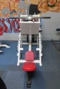 c 2015 Power Fabs Plate Loaded 45° Leg Press (plates not included)