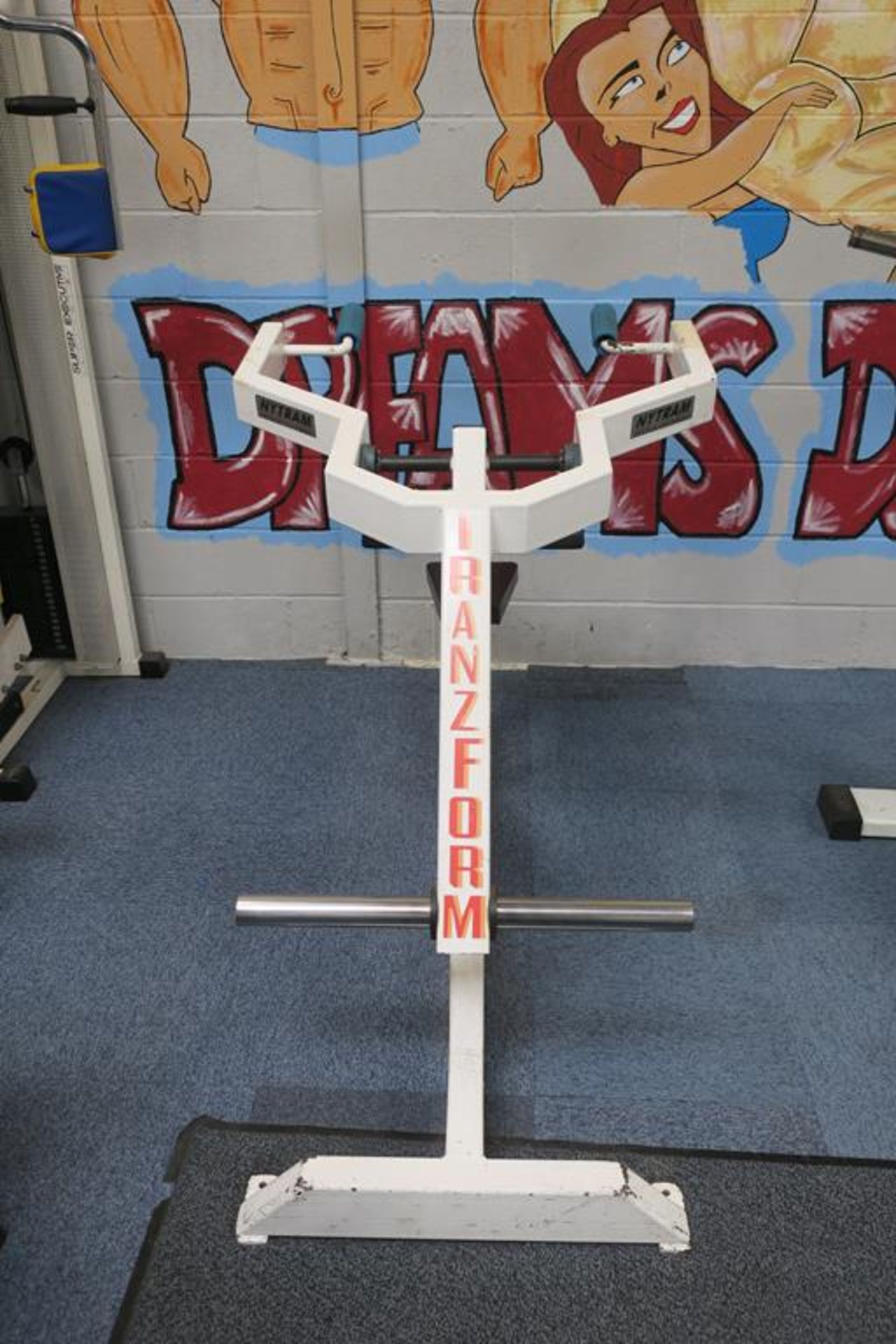 Nytram Plate Loaded Tricep Dip - Bild 3 aus 3