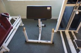 * Seated Unbranded Power Lift Seat and Weight Frame. Please note Collection of this lot is from