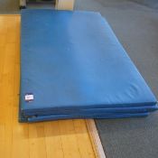 * 4 Foam Filled Plastic Crash Mats 1200x1800mm. Please note Collection of this lot is from