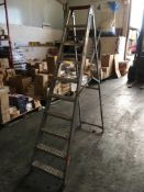 10 Rung Aluminium Step Ladder