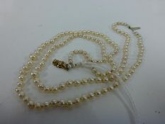A Real Pearl Necklace with 9ct Gold Clasp