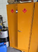 Steel Flammables Cabinet and Contents (Located at Unit 11)