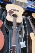 Cort Electric Acoustic 12 String Guitar
