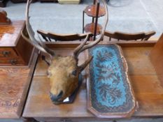 Stags head with stand