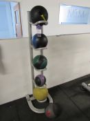 ST ZIVA Ball Stand and 6 Various Medicine Balls