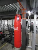 Everlast Punch Bag