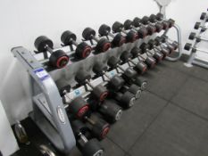 Matrix Dumbbell Rack and Dumbbells