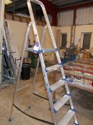 Werner 7 tread step ladder