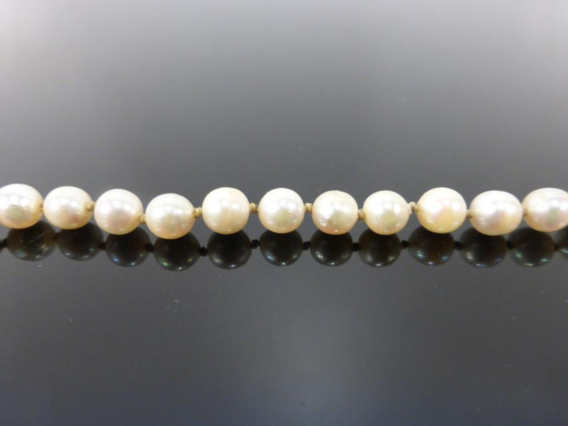 A Cultured Pearl Necklace with a Silver Clasp - Image 2 of 3