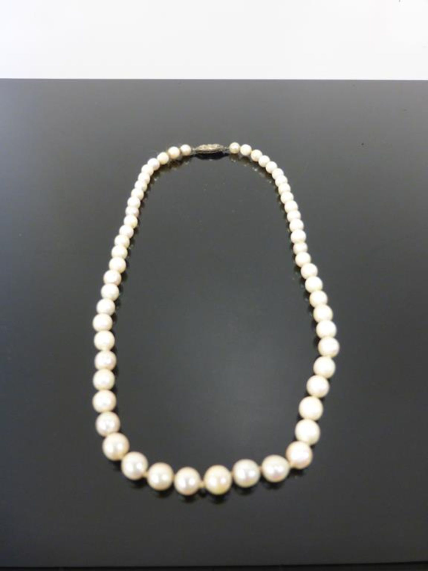 A Cultured Pearl Necklace with a Silver Clasp