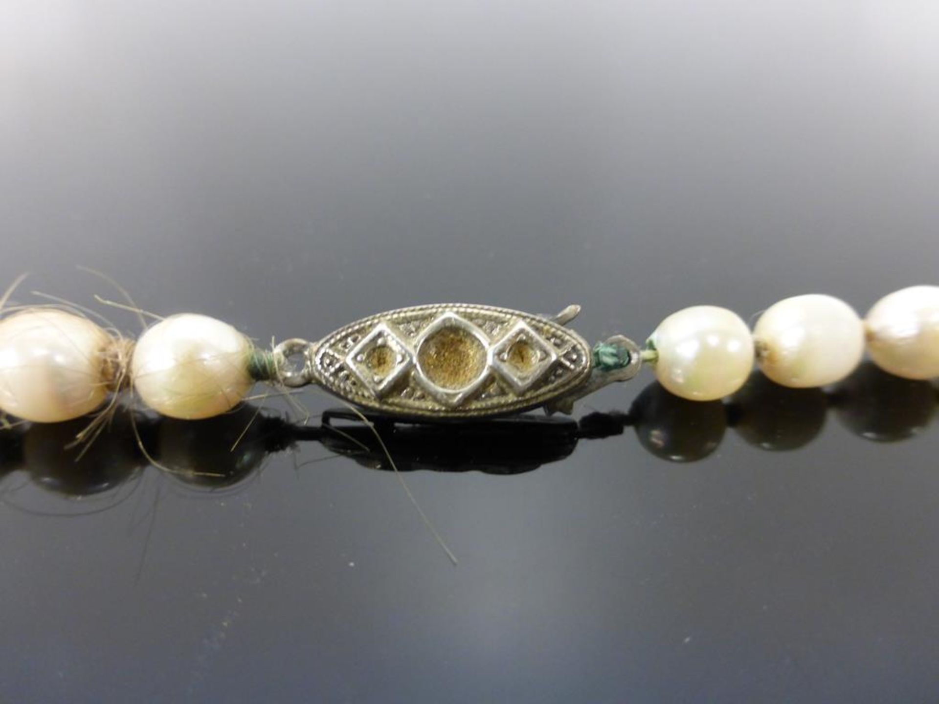 A Cultured Pearl Necklace with a Silver Clasp - Image 3 of 3