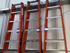 3 x 6 rung trestle ladders