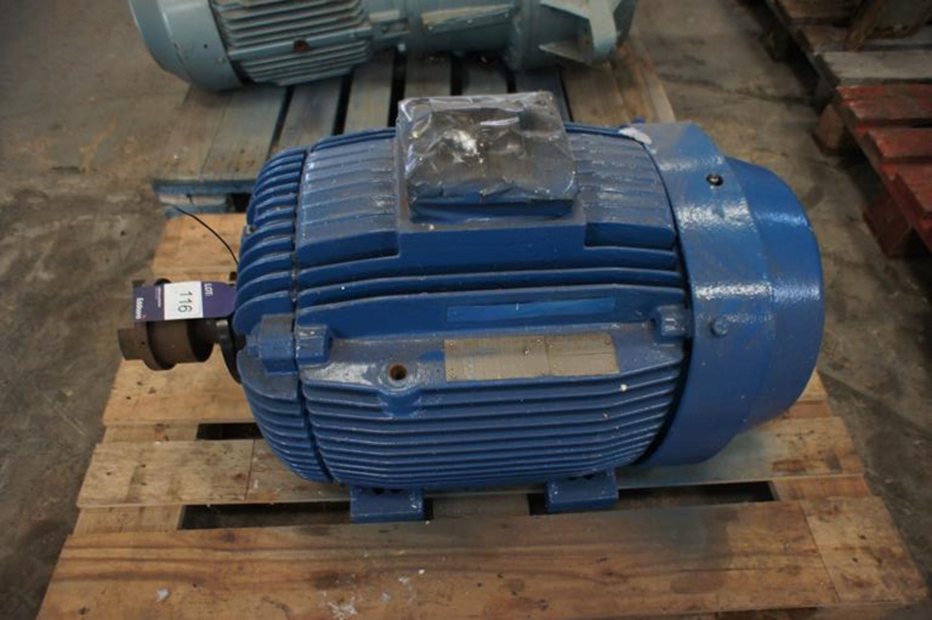 WEG Electric Motor