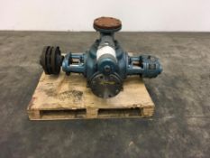 Bornemann pump