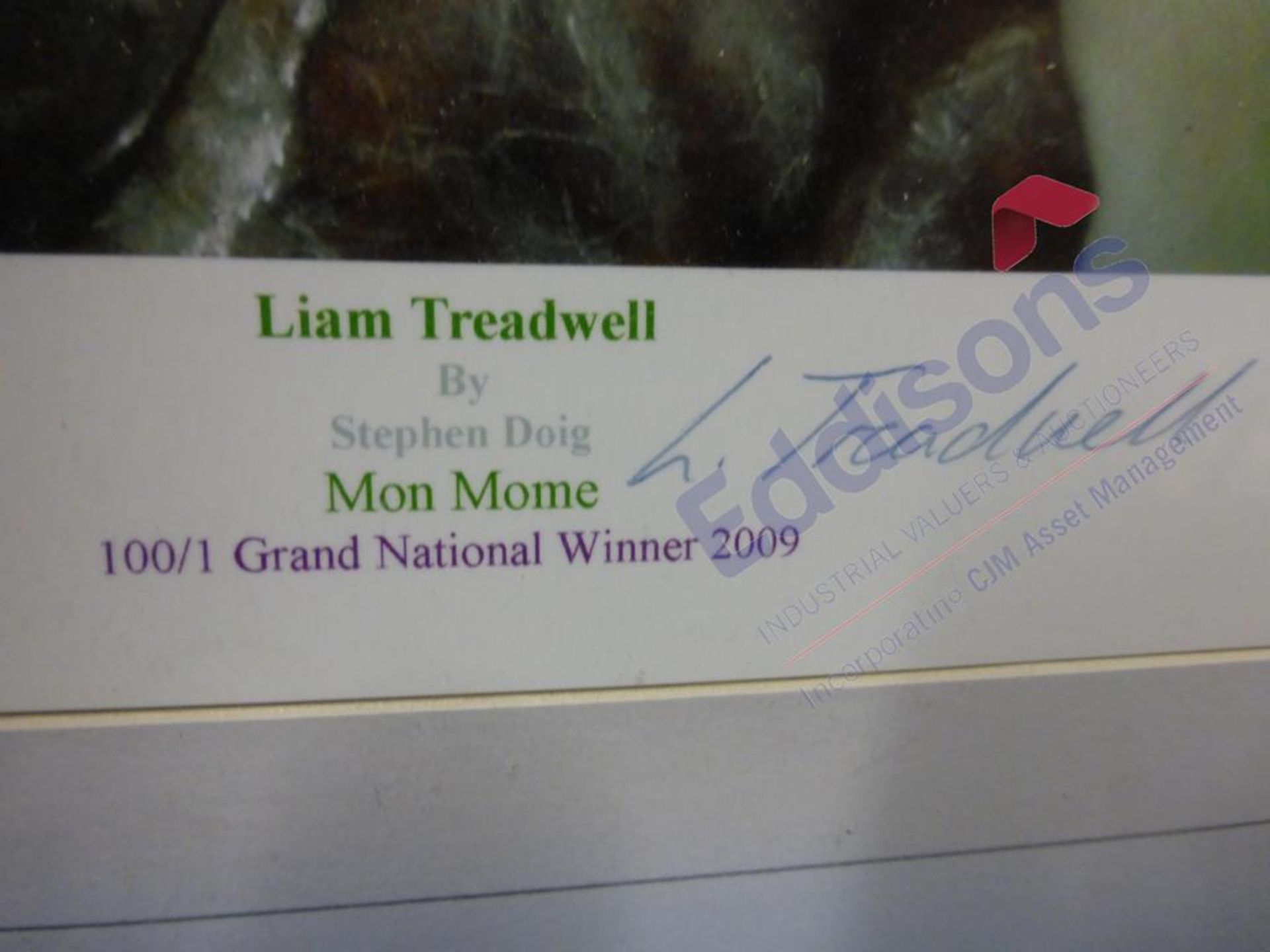 Sports Autographs: Liam Treadwell by Stephen Doig "Mon Mome" Grand National Winner 2009 - Image 3 of 5