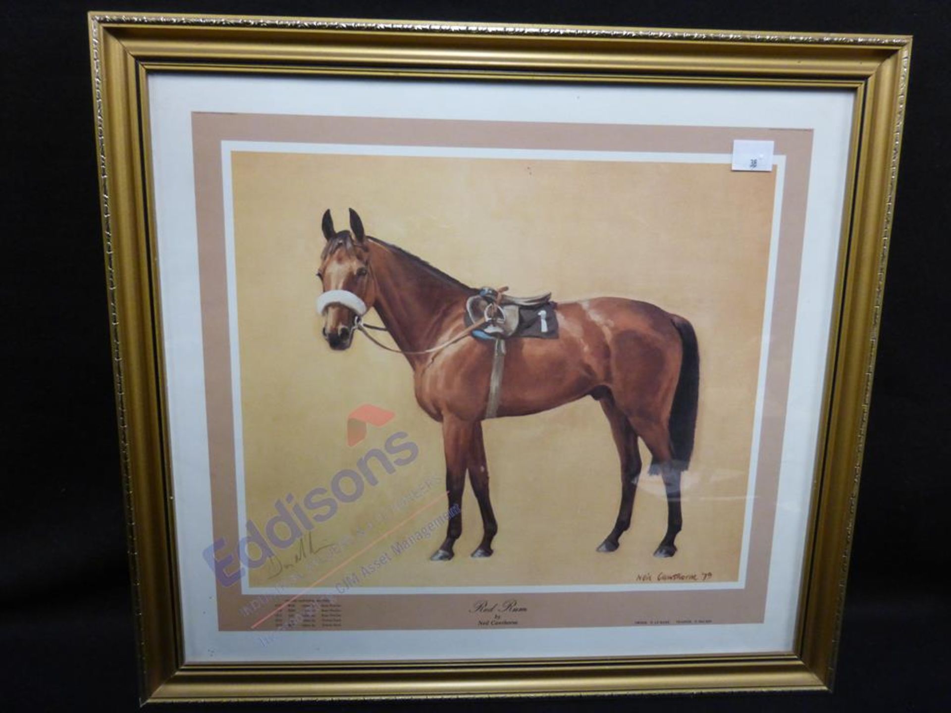 Sports Autographs: "Red Rum"