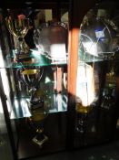 Large Quantity of Various Trophies, Plaques and Sa