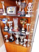 Large Quantity of Various Trophies, Plaques and Sa