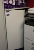 Triumph Small Double Door Metal Cabinet (Located Staff Office)