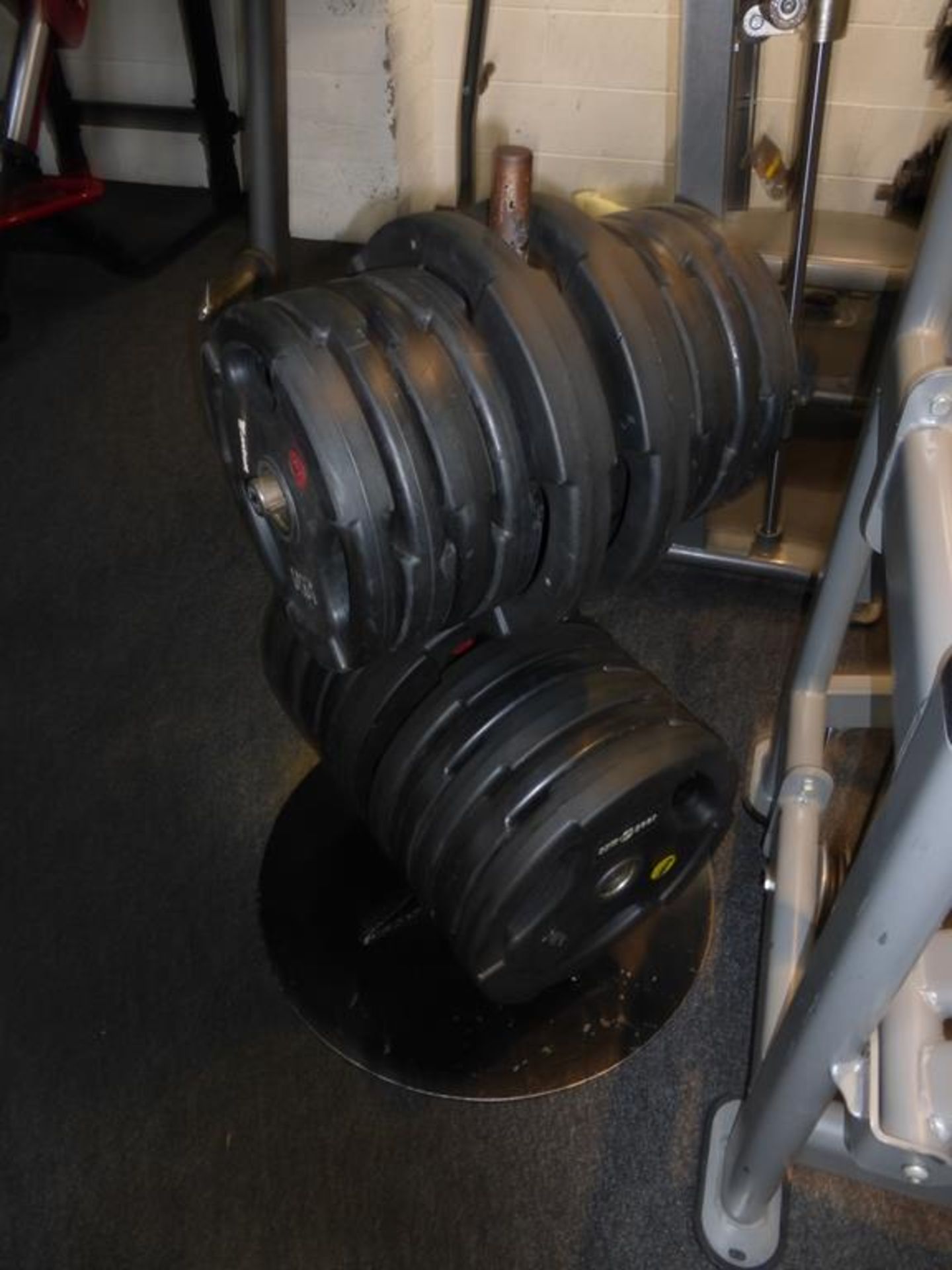Gym Gear Rubber Covered Plates and Storage Tree