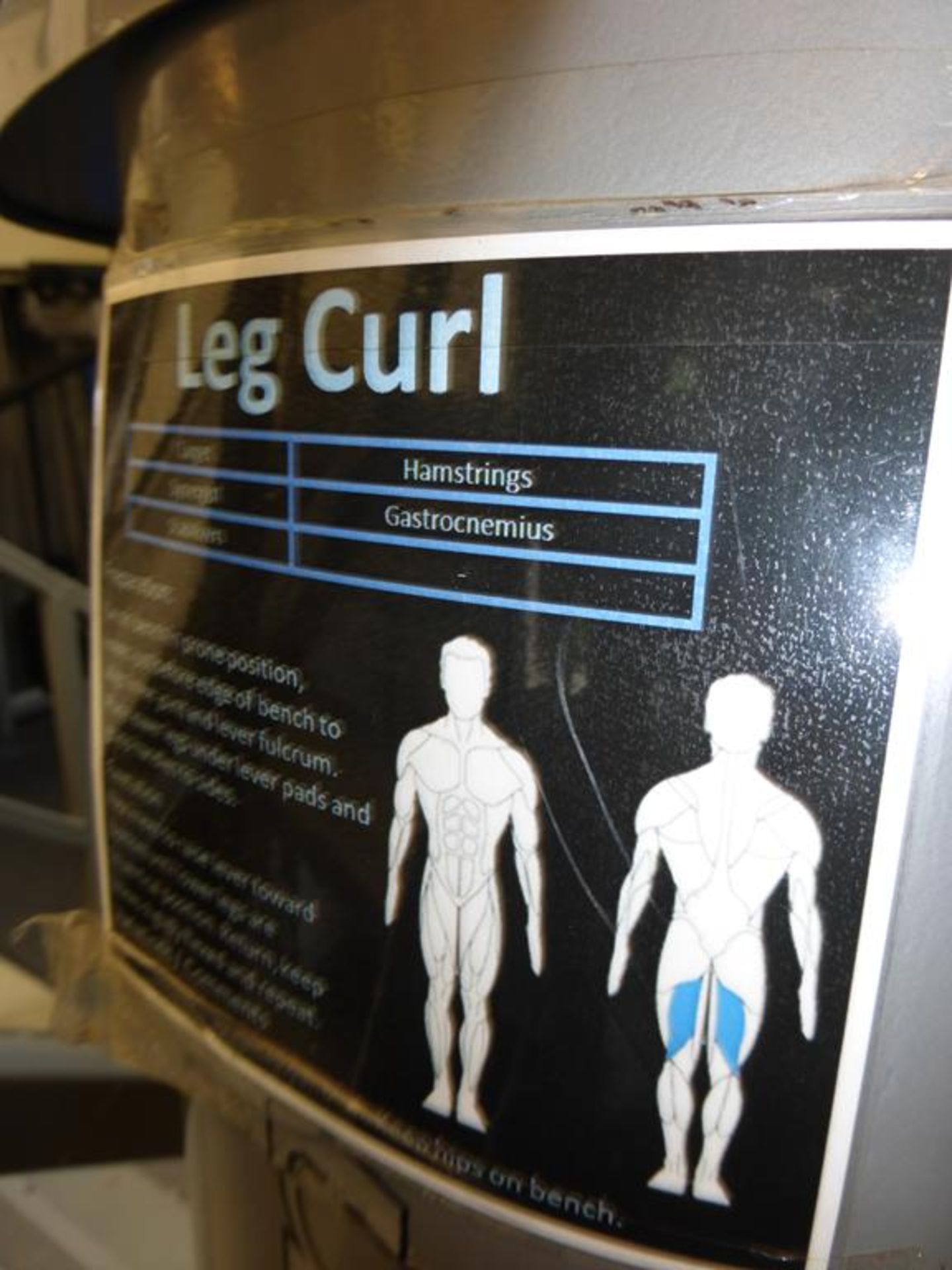 Gym 80 Horizontal Leg Curl - Image 4 of 4