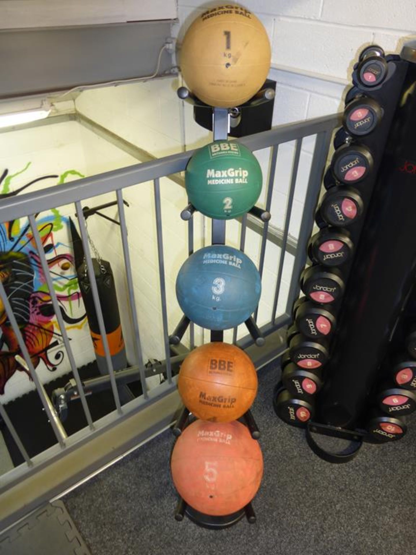 Medicine Balls & Storage Rack