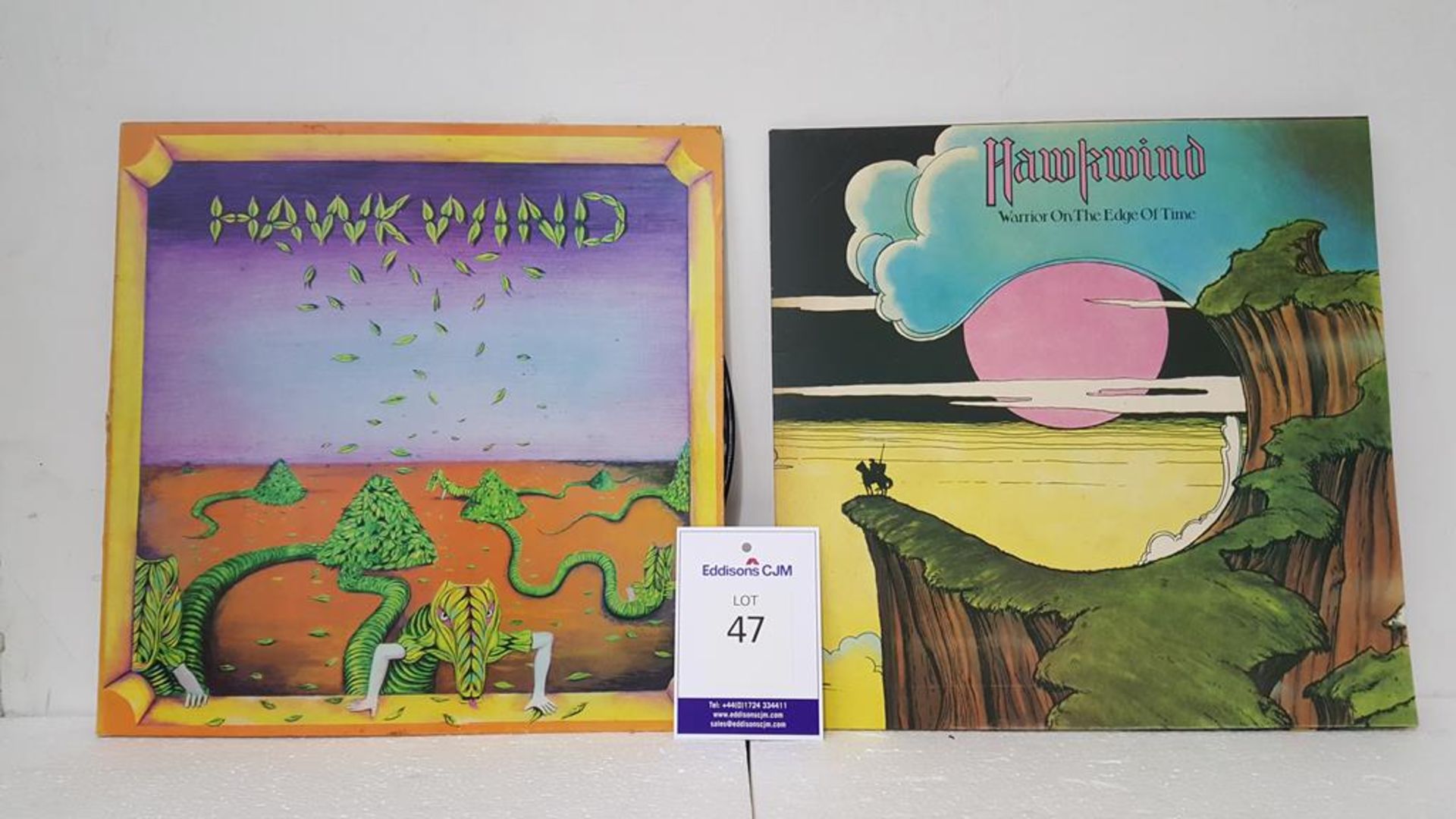 Hawkwind 'Warrior on the Edge of Time' and 'Hawkwind' LPs