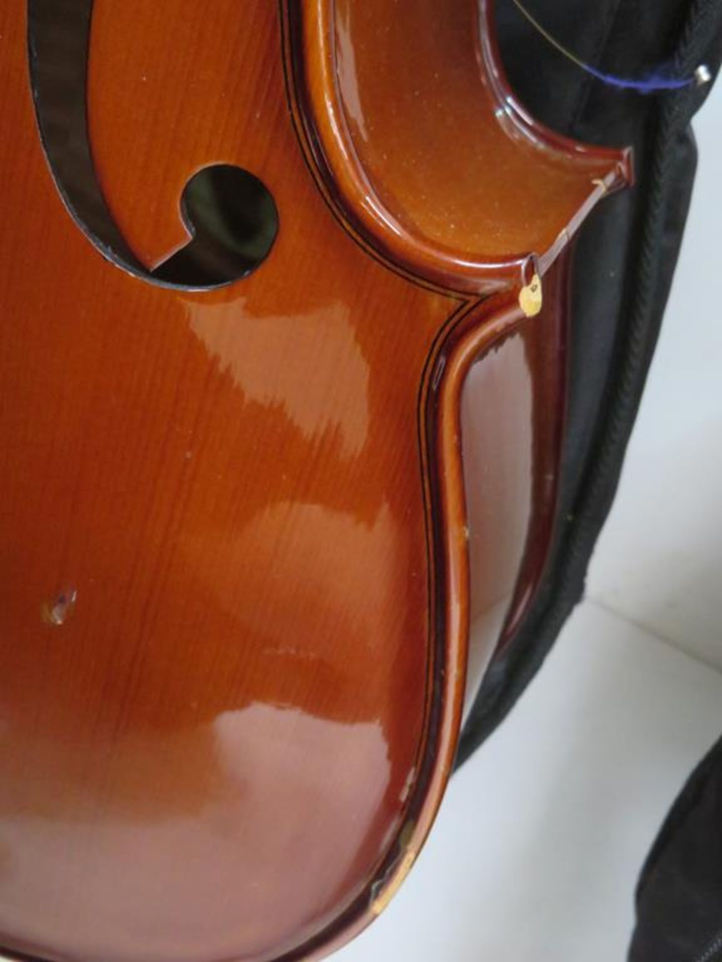 Two Stentor Student II 1/2 size Cellos with case - Image 6 of 11