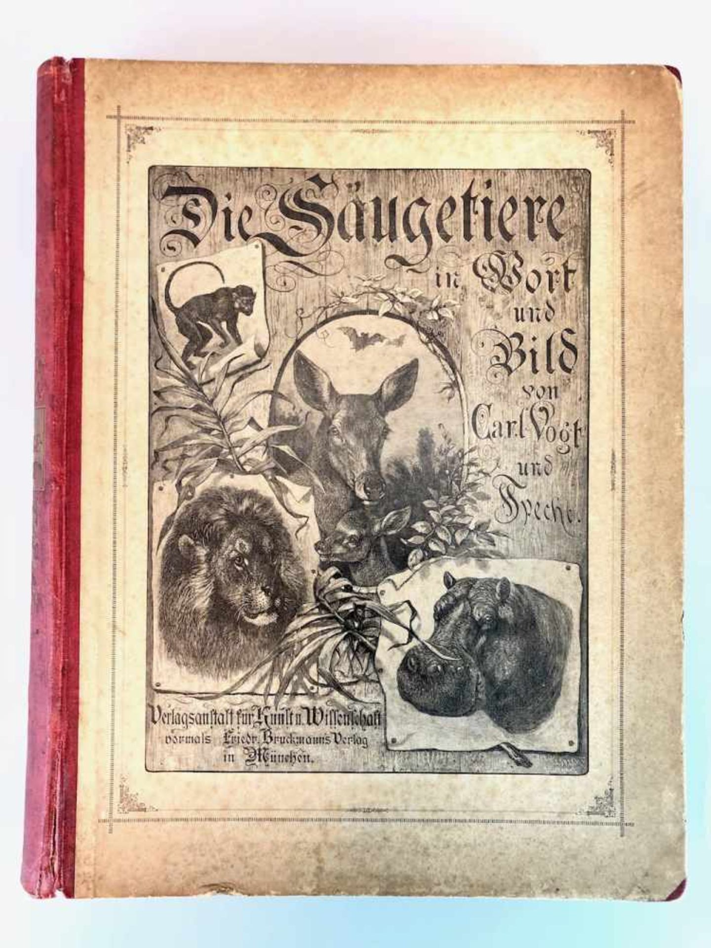 Vogt, Carl / Friedrich Specht: "Die Säugetiere in Wort und Bild", München, 1883.Verlagsanstalt für