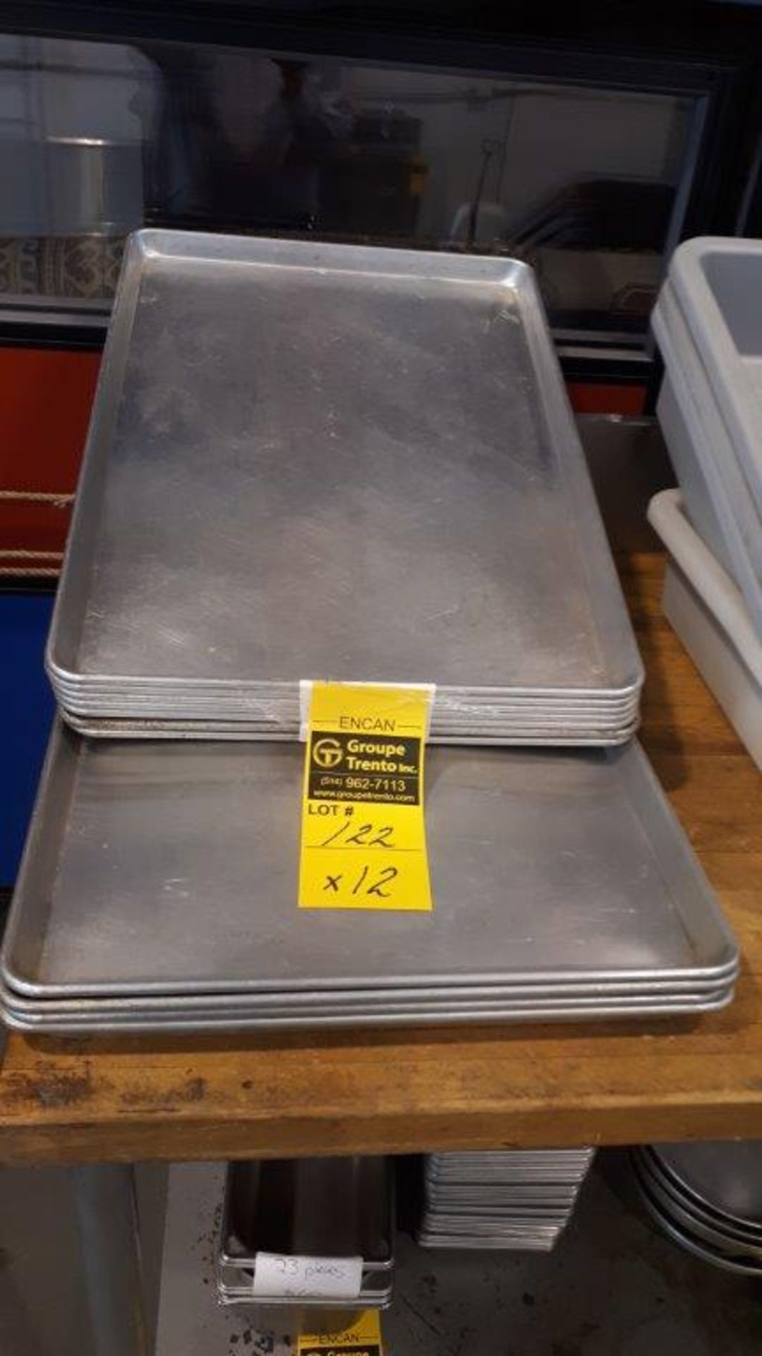 LOT: (12) Stainless Steel Trays, 16'' x 24''