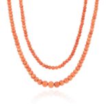 A LONG CORAL BEAD NECKLACE comprising a single row of three hundred and forty nine polished coral