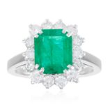 AN EMERALD AND DIAMOND CLUSTER RING in white gold or platinum, set with an emerald cut emerald in