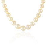 A SOUTH SEA PEARL AND DIAMOND NECKLACE in 18ct yellow gold, comprising of thirty-five South Sea