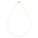 A PEARL AND DIAMOND NECKLACE in yellow gold, comprising of a single row of 127 pearls,with pearl and