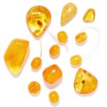 A SELECTION OF AMBER BEADS AND PIECES of various sizes and shapes, some drilled, others undrilled,