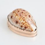 ANTIQUE PROVINCIAL IRISH GOLD COWRIE SHELL SNUFF BOX, CARDEN TERRY OF CORK CIRCA 1780 the body