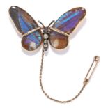 ANTIQUE DIAMOND AND SAPPHIRE BUTTERFLY BROOCH in yellow metal, set with butterfly wings, old cut